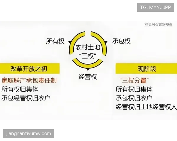 内斯塔与萨穆埃尔在防守覆盖率偏移与体系分配上出现分化趋势