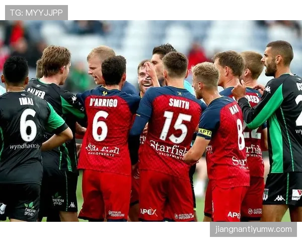 拜仁慕尼黑控球压制力下降，球队战术效率成为赛季表现关键影响因素