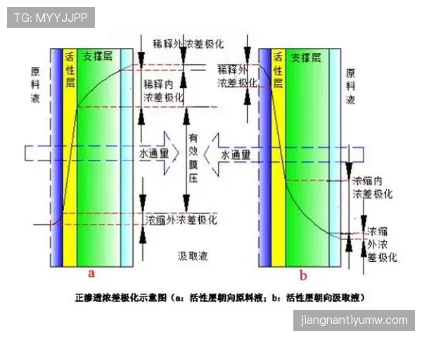 亚马尔的高强度使用是否正透支其职业生涯潜力